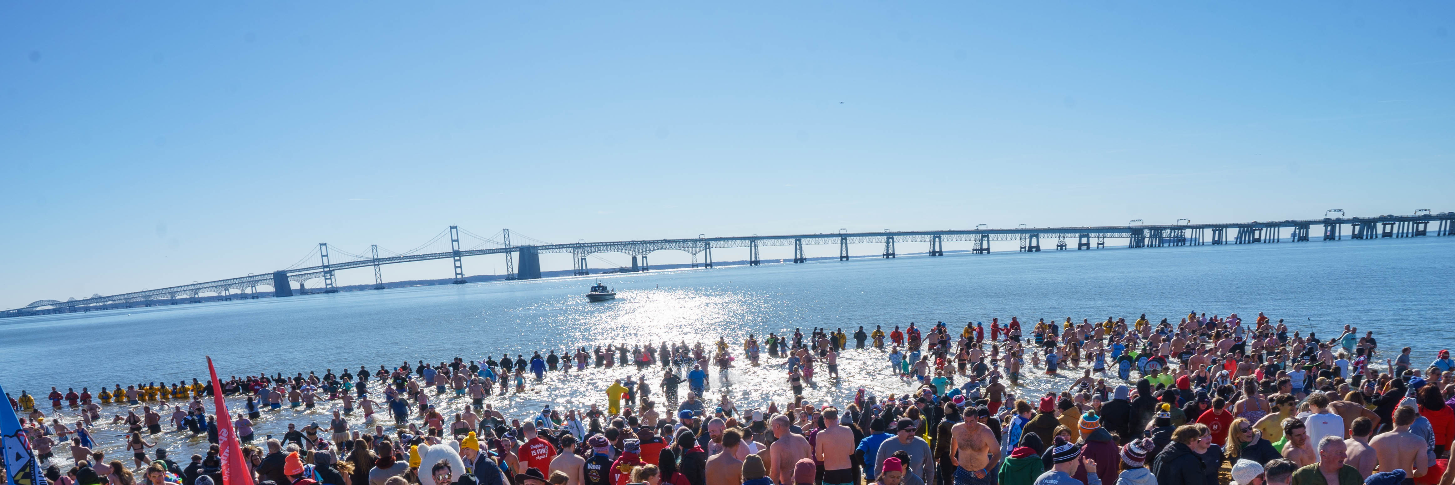 Brave Plungers